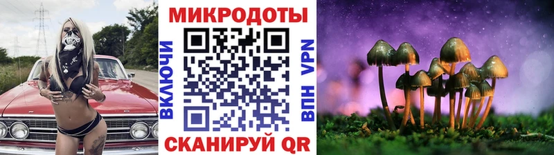 Галлюциногенные грибы GOLDEN TEACHER Купить Верея